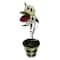 11.75" Clubs Playing Card Flytrap in Diamond Pot Tabletop Décor by Ashland®